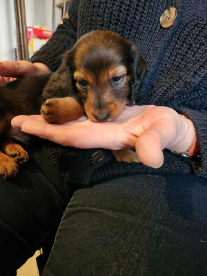 alpha des vents salés