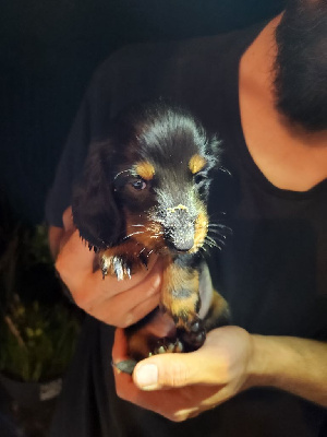 abygaëlle des vents salés